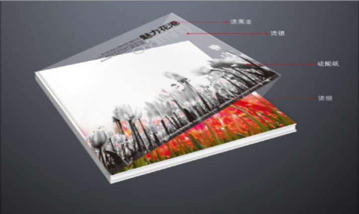 画册设计企业画册企业内刊招标书产品画册招商手册公司宣传