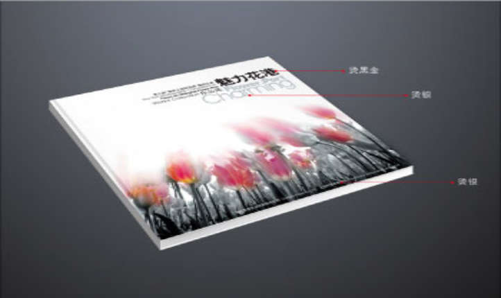 画册设计企业画册企业内刊招标书产品画册招商手册公司宣传
